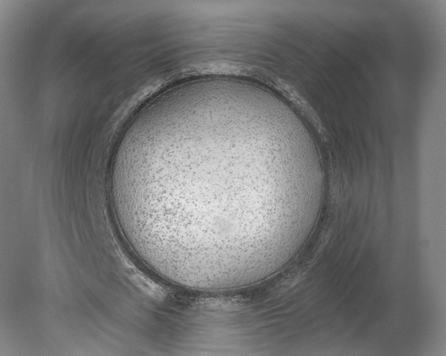 X0000078870625200611271301