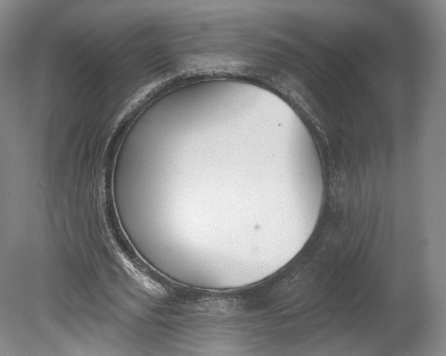 X0000078870629200611271302
