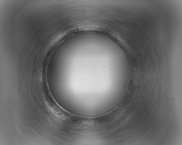 X0000078870631200611271302