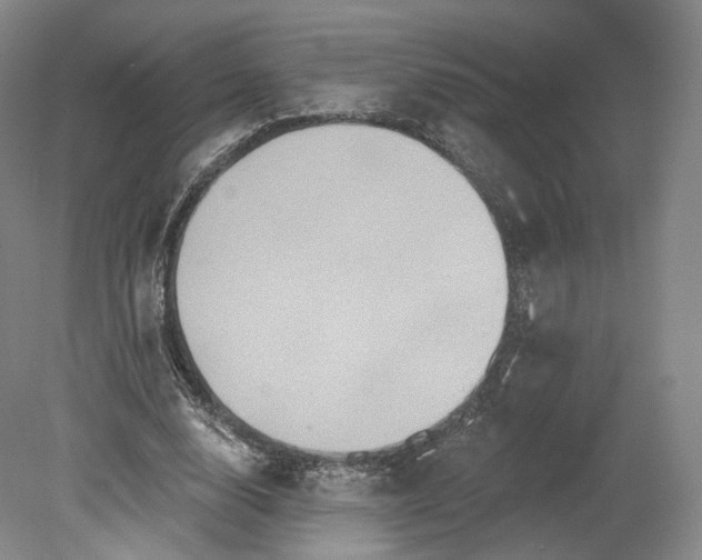 X0000078870632200611271302