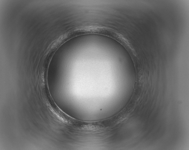 X0000078870633200611271302