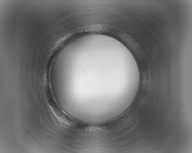 X0000078870636200611271302