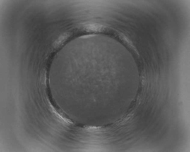 X0000078870637200611271302