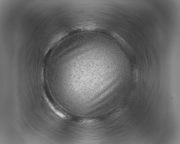 X0000078870638200611271302