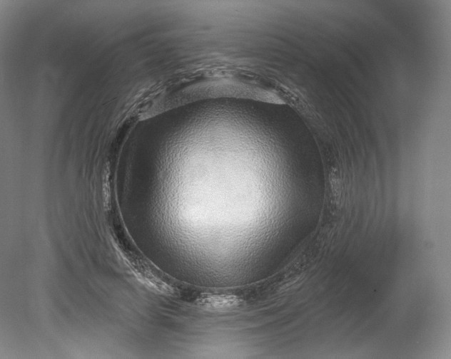 X0000078870642200611271302