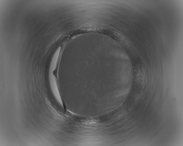 X0000078870643200611271302
