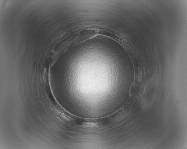 X0000078870649200611271302