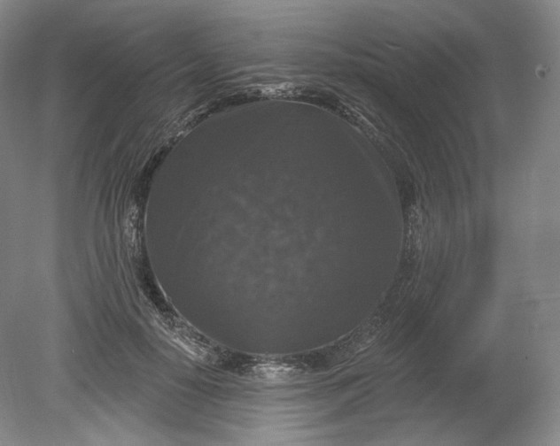 X0000078870650200611271302