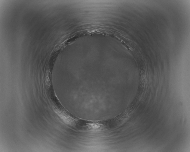 X0000078870654200611271302