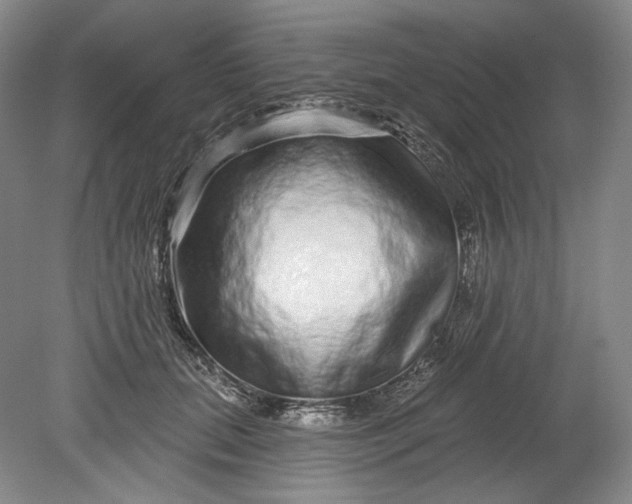 X0000078870655200611271302