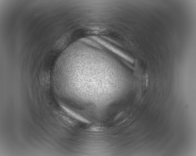 X0000078870657200611271302