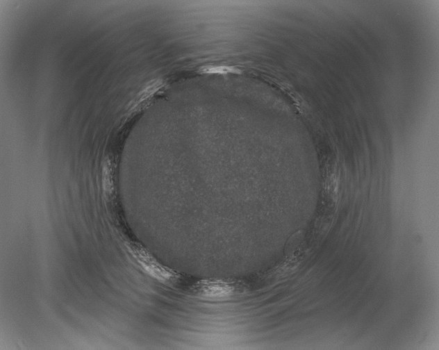 X0000078870658200611271302
