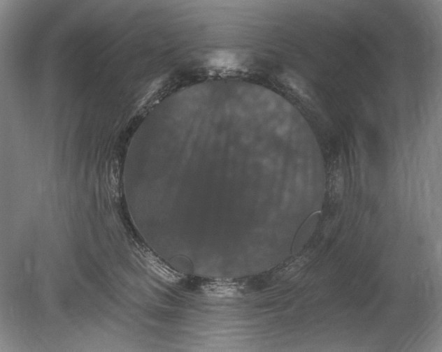 X0000078870661200611271302