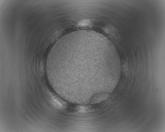X0000078870662200611271302