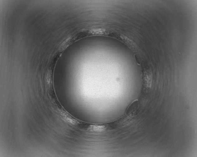 X0000078870665200611271302