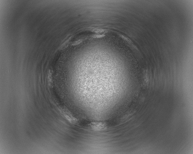X0000078870667200611271302