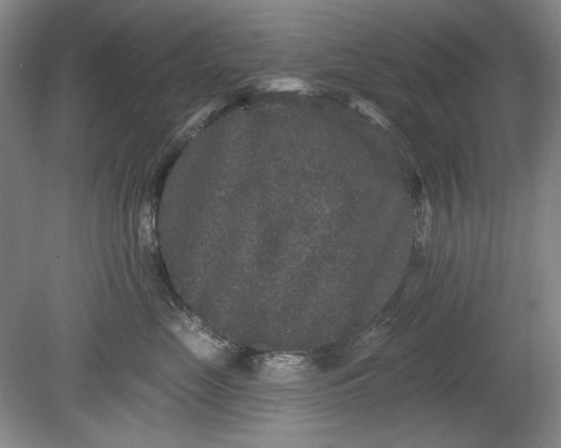 X0000078870669200611271302