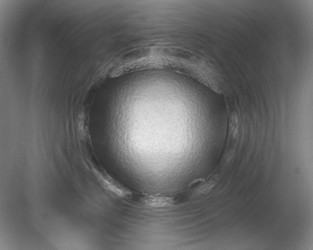 X0000078870670200611271302