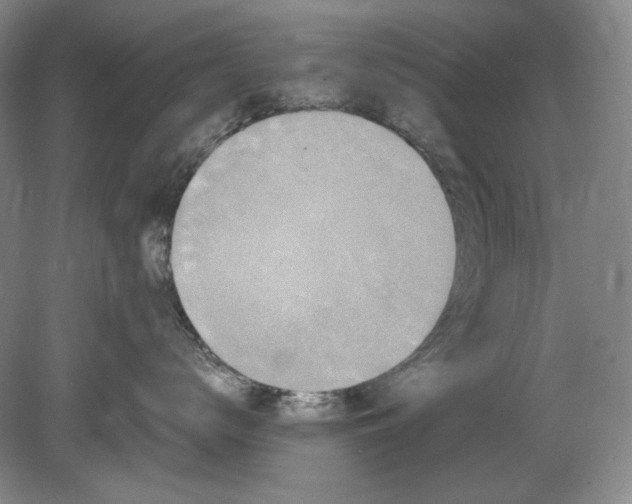 X0000078870672200611271302