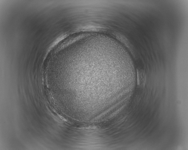 X0000078870675200611271301