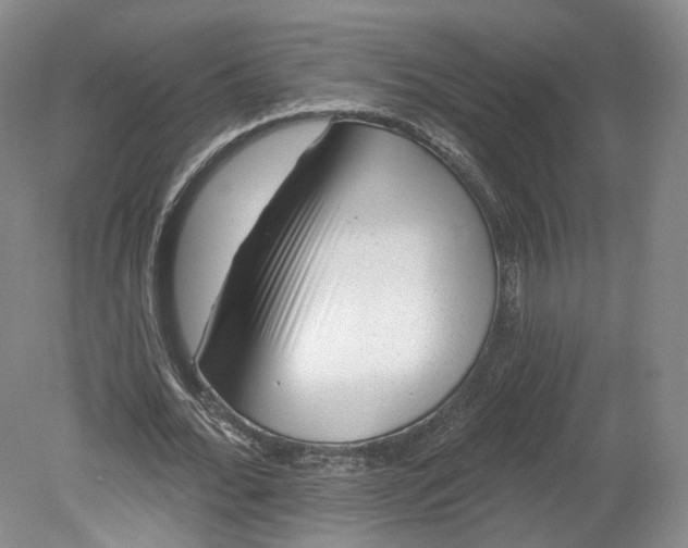 X0000078870676200611271301