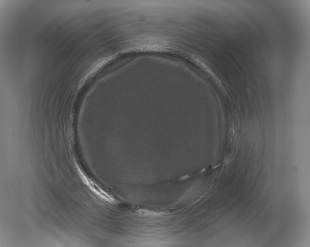 X0000078870677200611271301