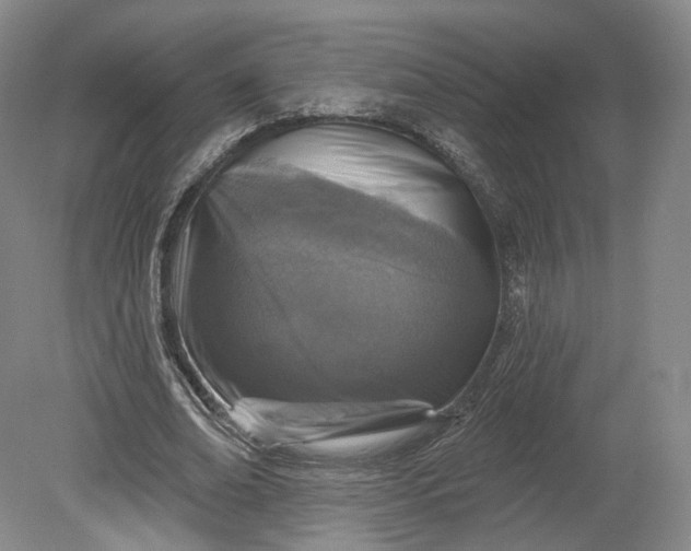 X0000078870678200611271301