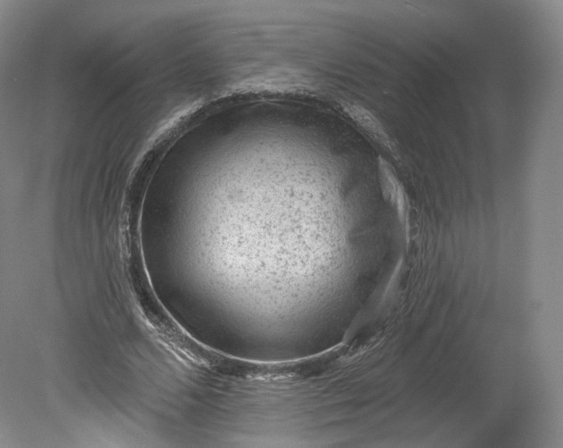 X0000078870680200611271301