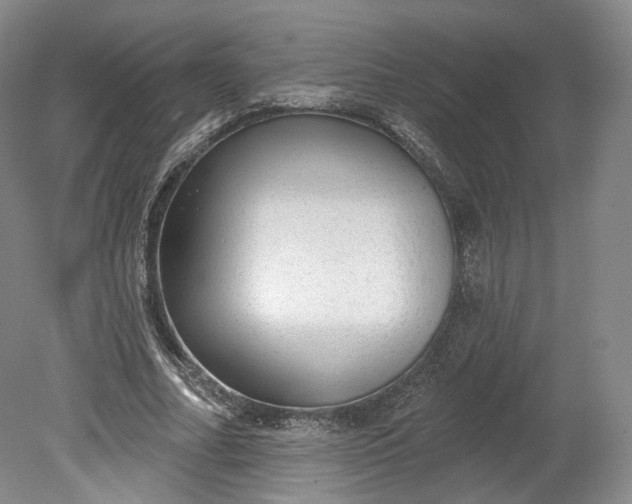 X0000078870682200611271301