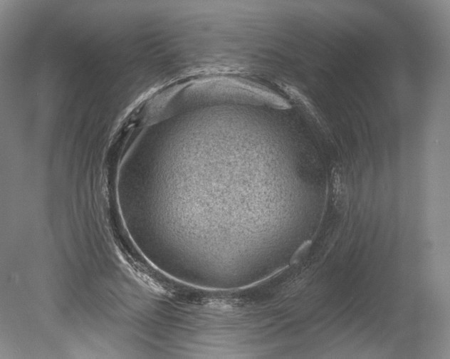 X0000078870684200611271301