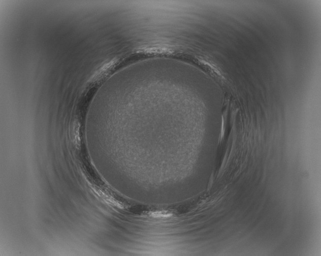 X0000078870692200611271301