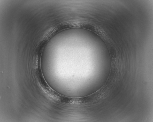 X0000078870694200611271301