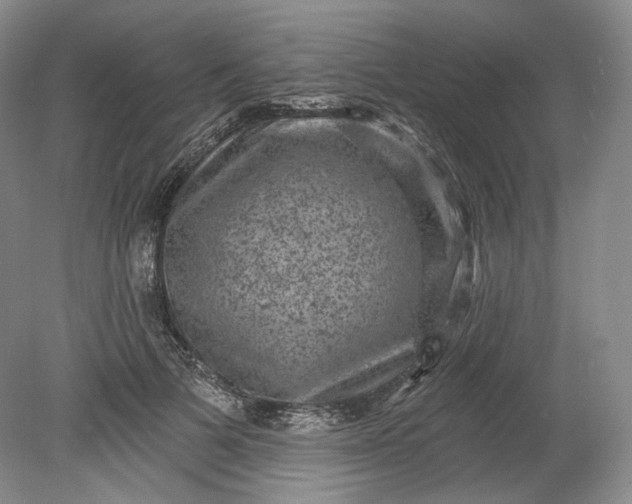 X0000078870697200611271301