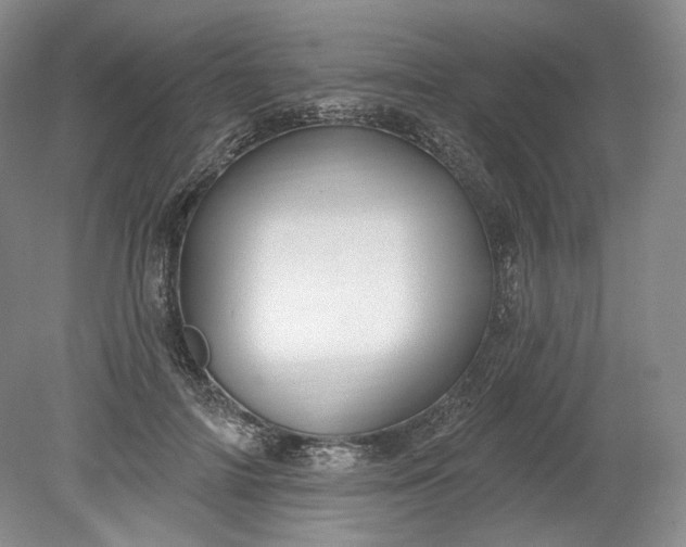 X0000078870698200611271301