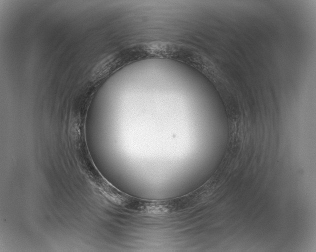 X0000078870702200611271301