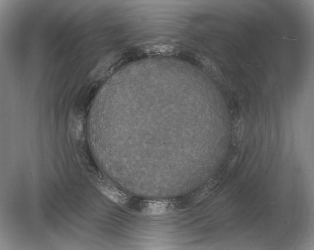 X0000078870709200611271301