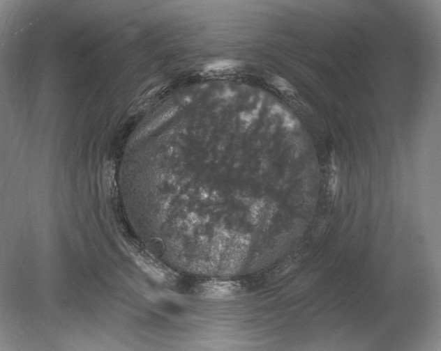 X0000078870711200611271301