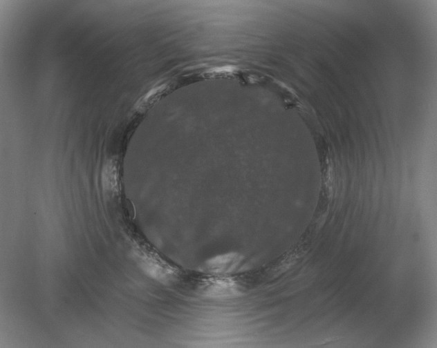 X0000078870715200611271301