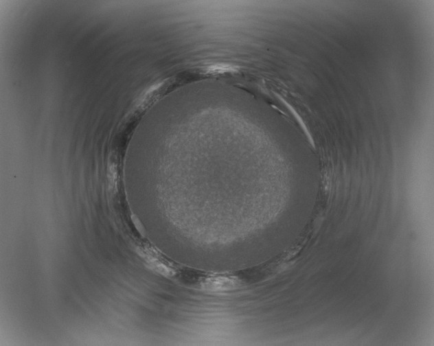 X0000078870716200611271301