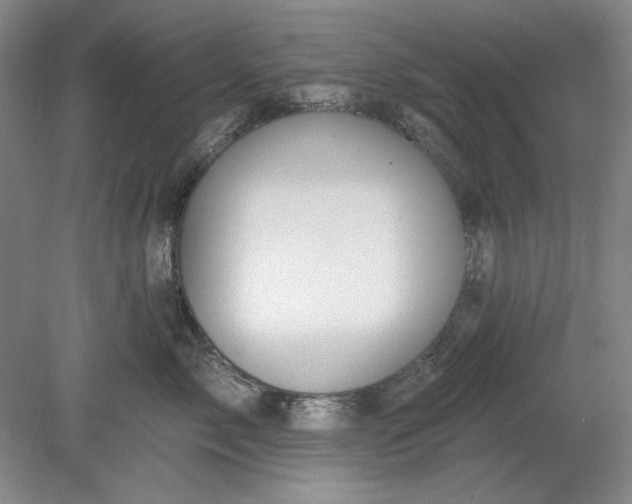 X0000078870717200611271301