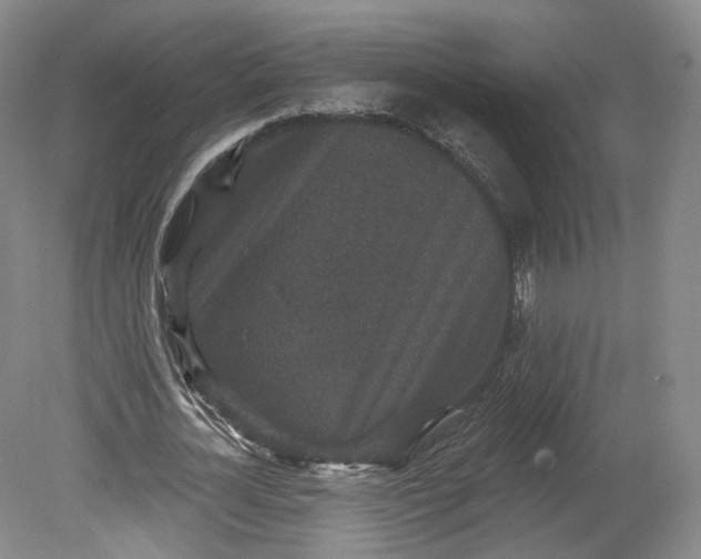 X0000078870724200611271300