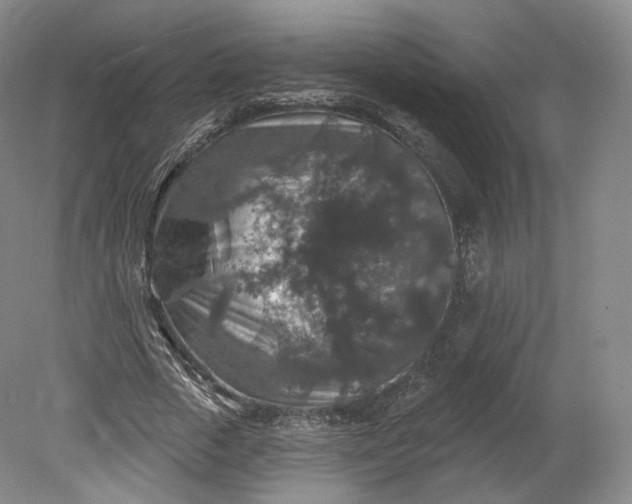 X0000078870729200611271300