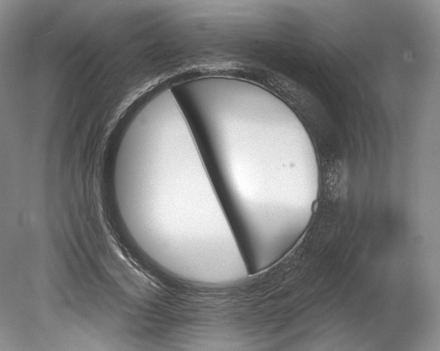 X0000078870732200611271300