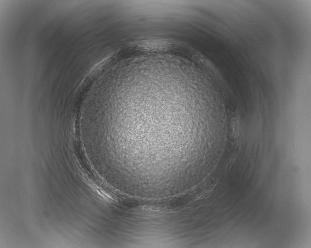 X0000078870733200611271300