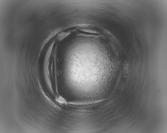 X0000078870734200611271300