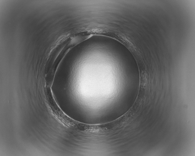 X0000078870738200611271300