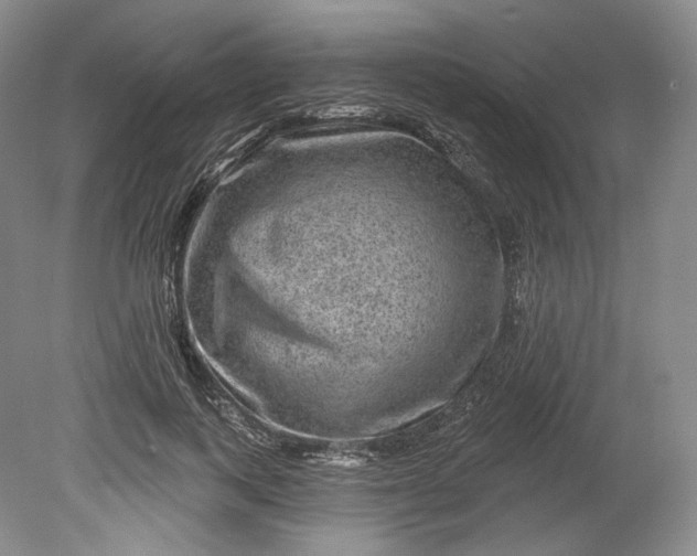 X0000078870743200611271300