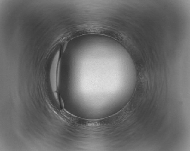 X0000078870744200611271300