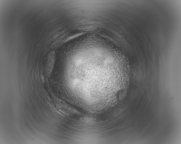 X0000078870745200611271300