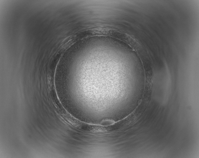 X0000078870749200611271300